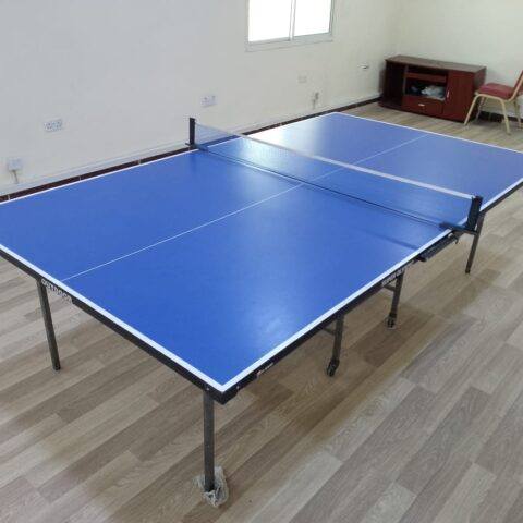 Table Tennis